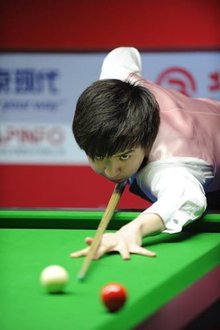 经纪团队的 经纪团队的